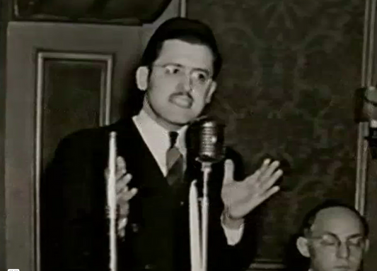 young moshe sherer