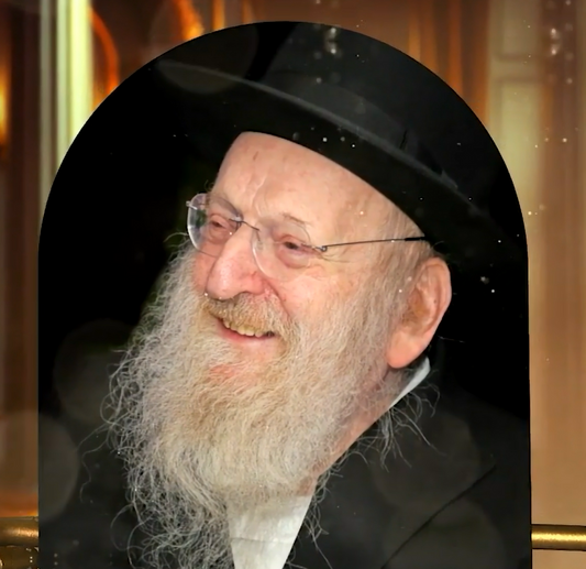 rav matisyahu