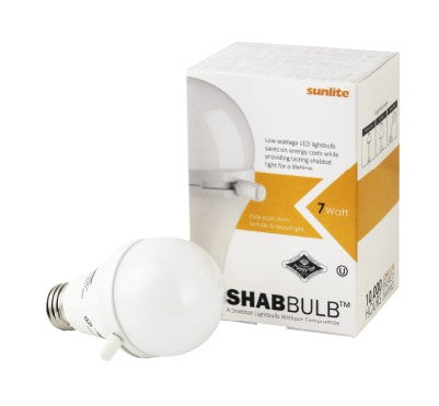 Shabbos Bulb